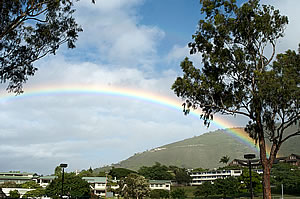  Rainbow. Photo by Milton Diamond  