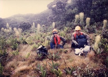 Scientists in field