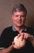 brain researcher Bruce Morton