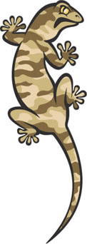 illustration of a fierce gecko