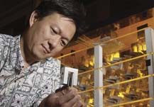 Professor Lloyd Hihara in the lab