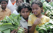 children with vegetables for sale in East Timor