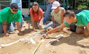 students doing forensic anthropology work, click for story