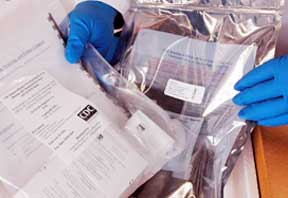 H1N1 testing kit