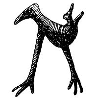 Illustration of a character forming the letter N by Edward Gorey from Figbash Acrobate 