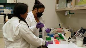 From left, Assoc Prof Rosie Alegado and student Kuʻi Keliipuleole work in lab.