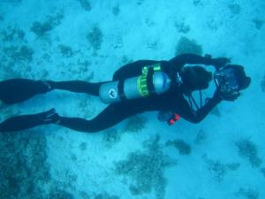 PhD candidate John Burns explores the health of the coral reefs (Wiener).