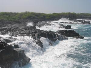 Hawaii shoreline