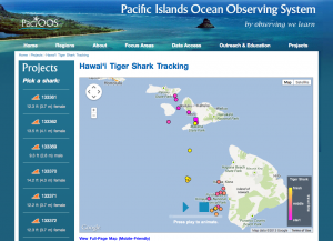 Example of tiger shark track on the PacIOOS website.  
