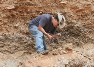 Professor Christopher Bae searching for fossils in China.