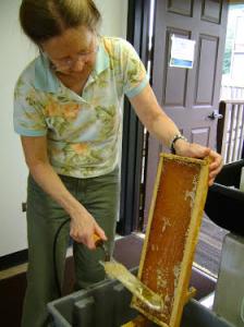 Dr. Georgeanne Purvinis scrapes off the caps of honeycombs to harvest a new batch of honey.
