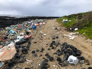 Plastic pollution at Kamilo Point, Big Island. Photo credit: Sarah-Jeanne Royer.
