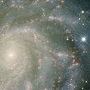 Supernova’s companion star spied by UH astronomers