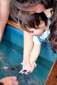 child holding marine critter