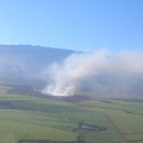 Large cane burns on Maui linked to respiratory distress