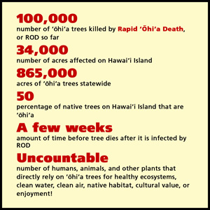Fact sheet about Rapid Ohia Death