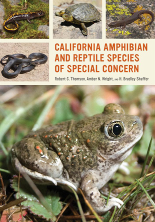 Cover of California Amphibian and Reptile Species of Special Concern