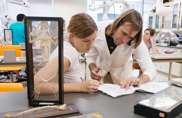 Two people working in a biology lab