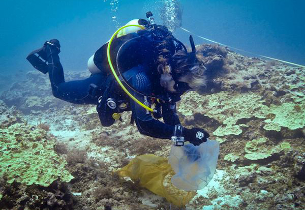 diver collecting samples underwater