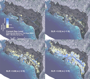Simulations of groundwater inundation chart