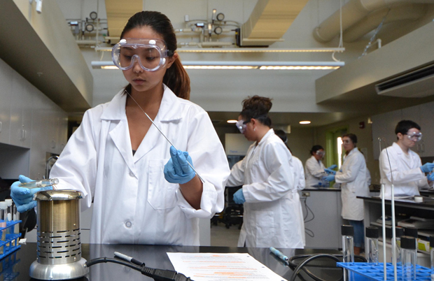 Students work in the new science labs at Hawaii C C