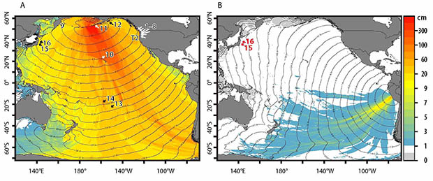 Graphs of tsunami amplitudes