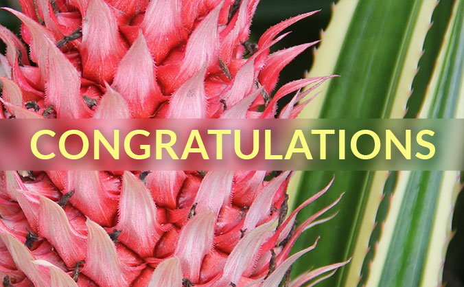 The word ʻcongratulationsʻ in front of a flower