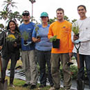 Native Hawaiian plants nurtured for education and industry