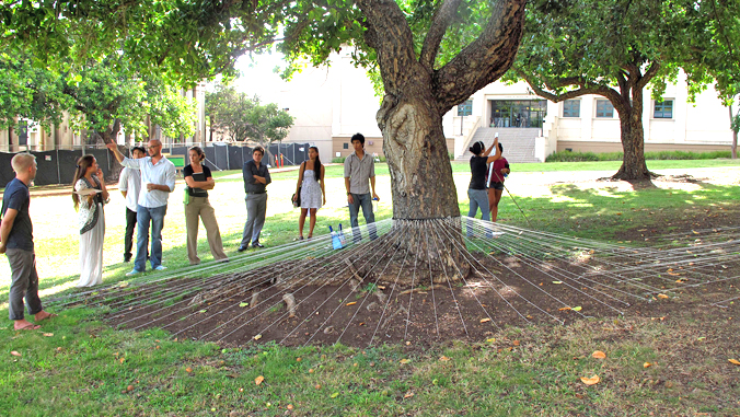 instructor and students gathered around a tree