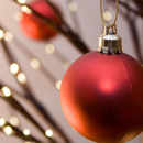 Celebrate holiday cheer at UH Alumni Holiday Mingle and Jingle