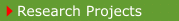 Research Projects Button