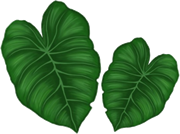 two leaves with wording Manawa Kūpono