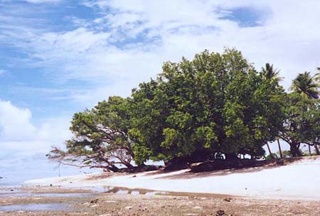 Lukwej2