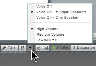 voice options menu