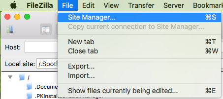 File menu showing the Site Manager option
