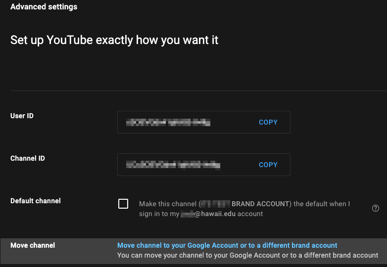 your channel youtube