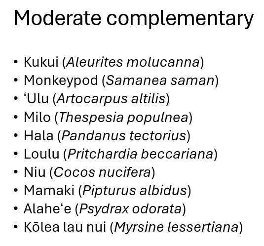 Moderate complementary Mango (Mangifera indica) Kamani (Calophyllum inophyllum) Kukui (Aleurites molucanna) Avocado (Persea americana) Milo (Thespesia populnea) Hala (Pandanus tectorius) Loulu (Pritchardia beccariana) Mamaki (Pipturus albidus) Neneleau (Rhus sandwicensis) Noni (Morinda citrifolia)