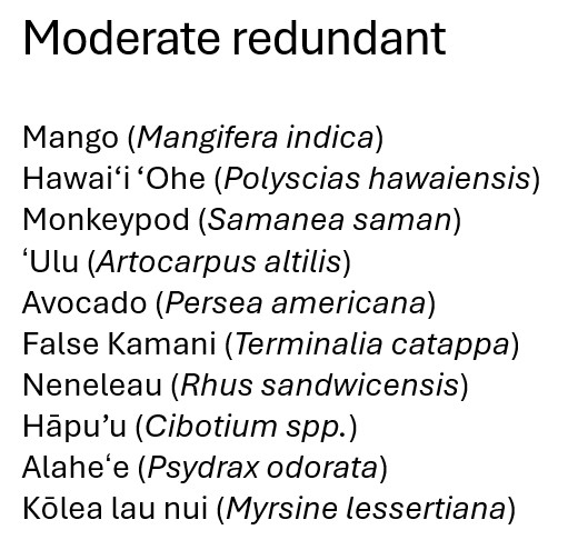 Moderate redundant Mango (Mangifera indica) Hawai‘i ‘Ohe (Polyscias hawaiensis) Monkeypod (Samanea saman) ʻUlu (Artocarpus altilis) Avocado (Persea americana) Terminalia catappa Neneleau (Rhus sandwicensis) Hāpu’u (Cibotium spp.) Alaheʻe (Psydrax odorata) Kōlea lau nui (Myrsine lessertiana)