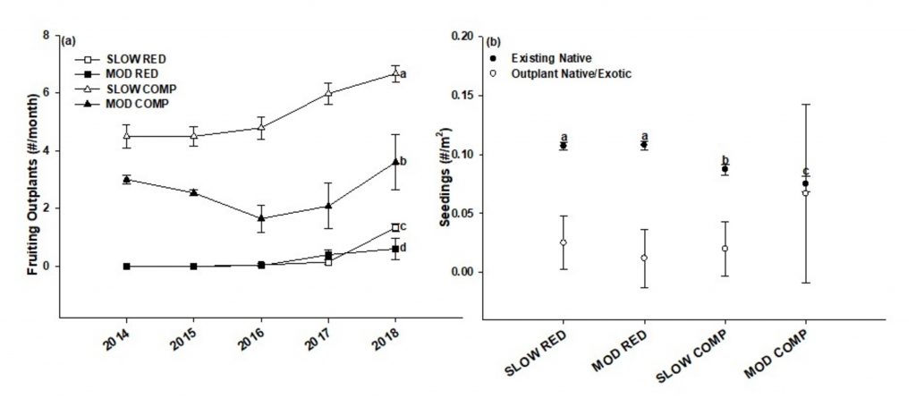Slow complementary plots showed the greatest amount of fruiting, and moderate redundant had the second most fruiting. For all plots but moderate complementary, existing native plants had significantly more seedlings than outplants. Existing native recruitment was greatest form slow redundant and moderate redundant, and lowest for moderate complimentary.