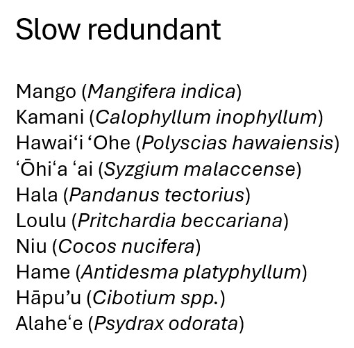 Slow redundant Mango (Mangifera indica) Kamani (Calophyllum inophyllum) Hawai‘i ‘Ohe (Polyscias hawaiensis) ʻŌhiʻa ʻai (Syzgium malaccense) Hala (Pandanus tectorius) Loulu (Pritchardia beccariana) Niu (Cocos nucifera) Antidesma platyphyllum Hāpu’u (Cibotium spp.) Alaheʻe (Psydrax odorata)