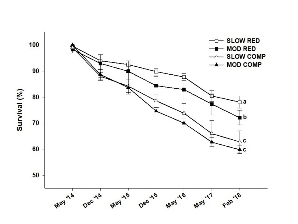 A graph showing outplant survival (%) over the course of five years. Slow redundant had the greatest outplant survival, followed by moderate redundant. Slow complementary and moderate complementary tied for the lowest outplant survival.