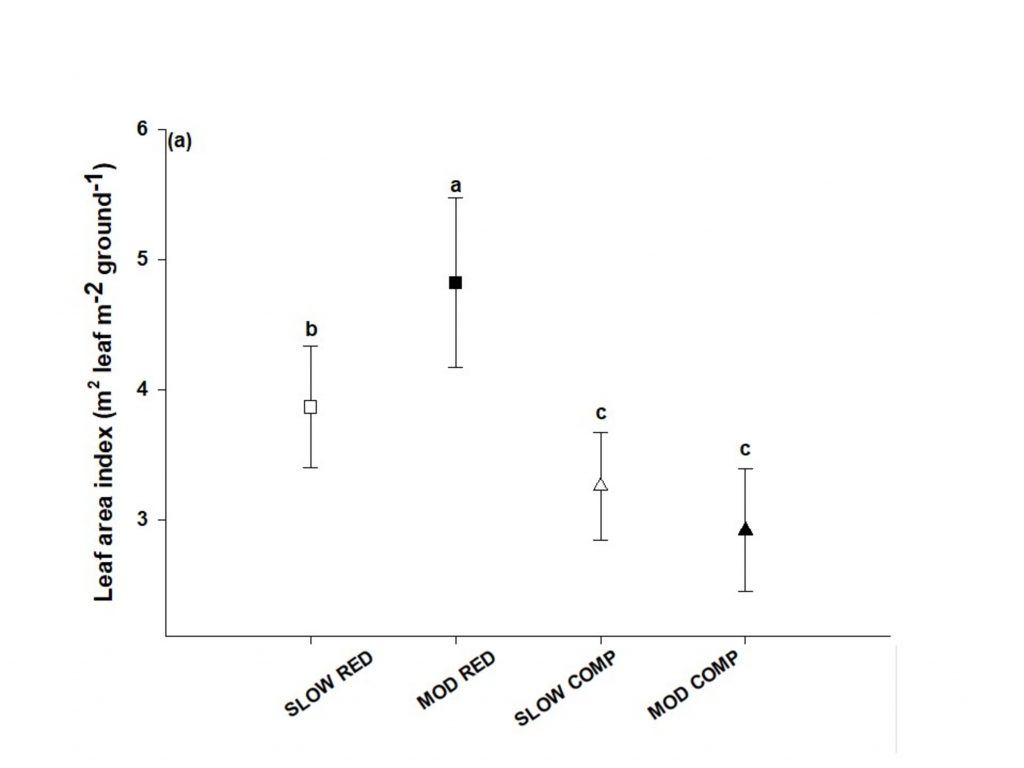 Graph showing leaf area index (LAI, m^2 leaf/m^2 ground) by treatment. Moderate redundant plots had the greatest LAI, followed by slow redundant, and then slow complementary and moderate complementary both having the lowest.
