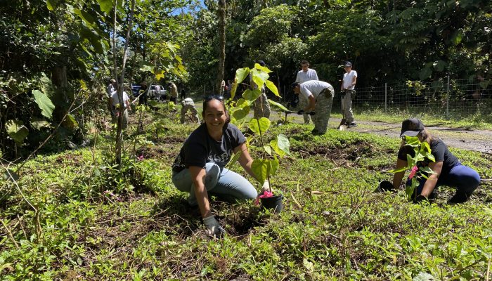 A woman planting a milo seedling with other volunteers in the background.