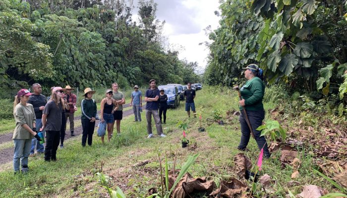 Young woman speaking to a group of people at the outplanting site.