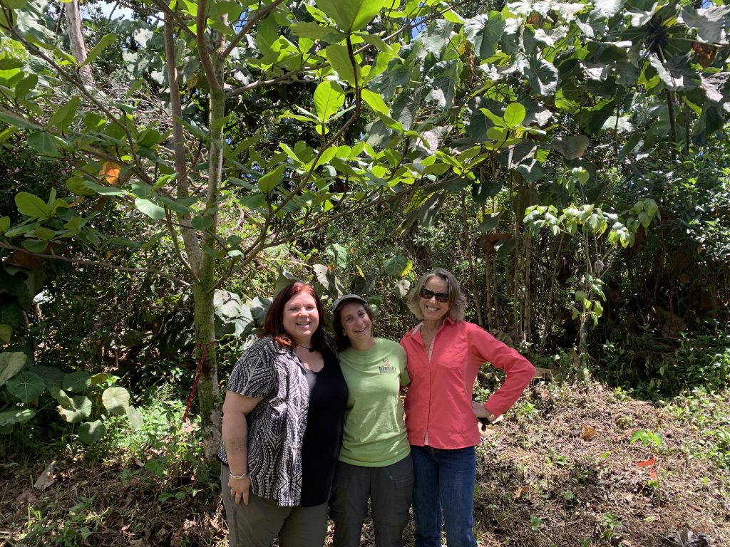 Project cofounders Amanda Uowolo, Becky Ostertag, and Susan Cordell