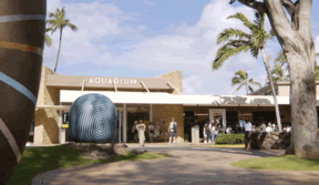 Entrance to Waikiki Aquarium today