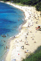 crowded beach