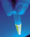 closeup of glowing pipette