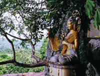 Buddha in Thailand