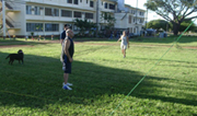 volleyball pic